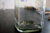 Thumbnail image of ""