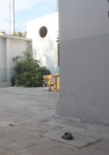 Thumbnail image of ""