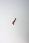 Thumbnail image of ""