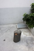 Thumbnail image of ""