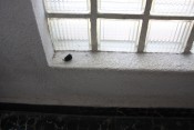 Thumbnail image of ""