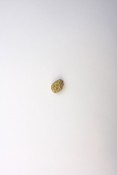 Thumbnail image of ""