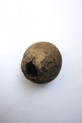 Thumbnail image of ""