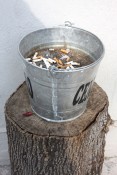 Thumbnail image of ""