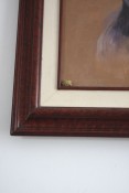 Thumbnail image of ""
